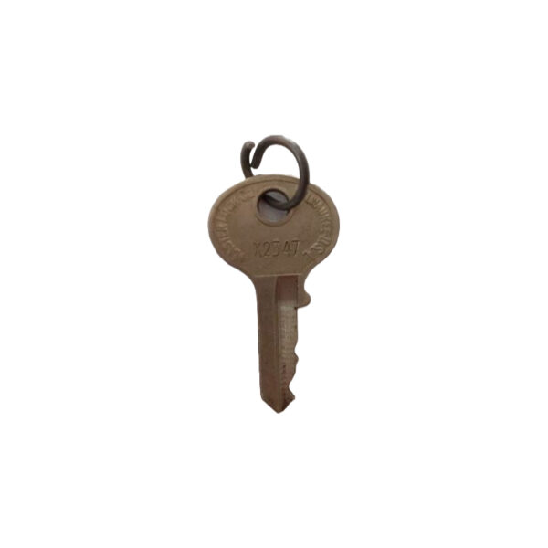 Master Key with Lion