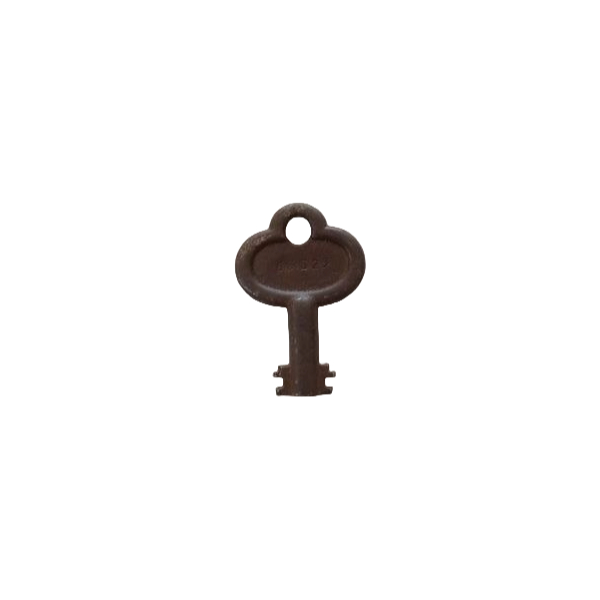 Eagle Padlock Key