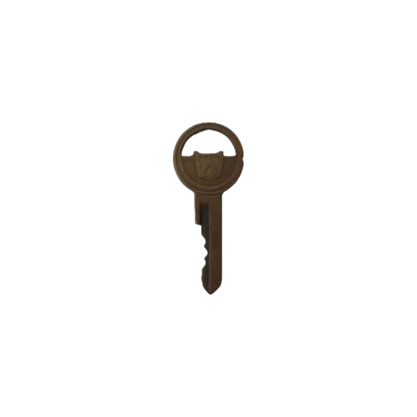 Ford Ignition Key