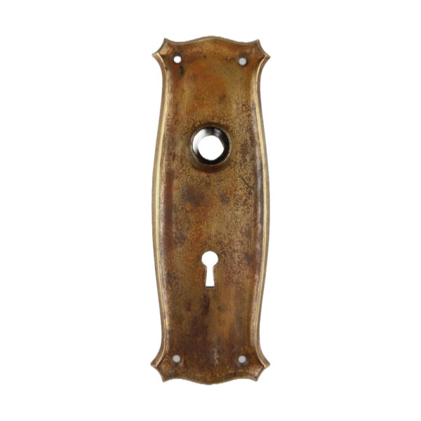 Springer Mackenzie Door Plate Brass