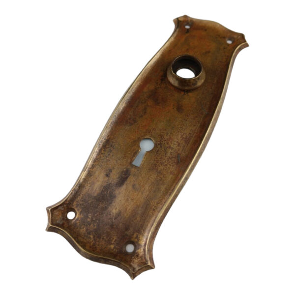 Springer Mackenzie Door Plate Brass