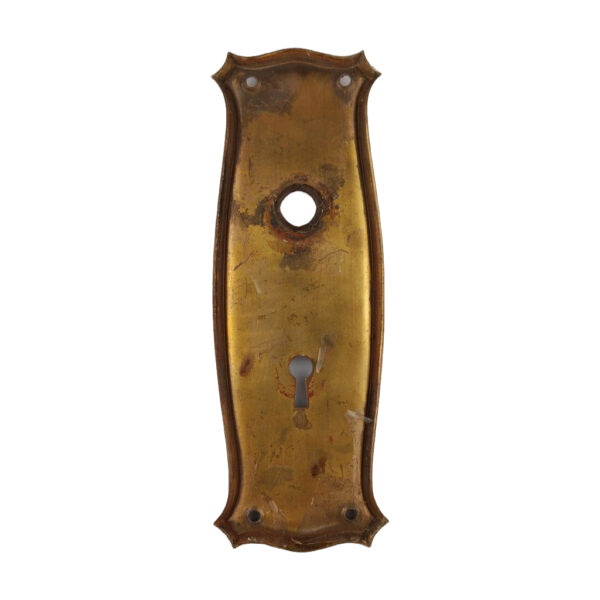 Springer Mackenzie Door Plate Brass