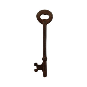 Curtis Skeleton Key