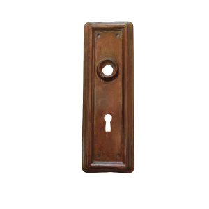Barrows Newport Door Plate Brass