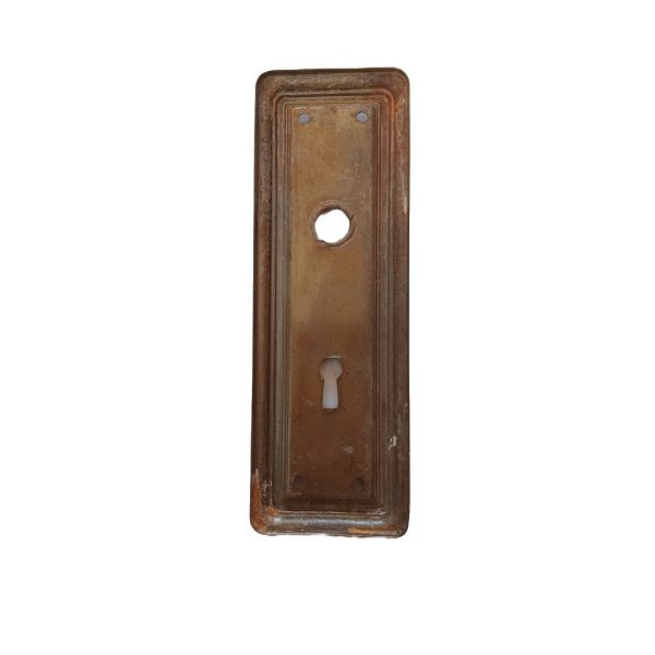 Barrows Newport Door Plate Brass
