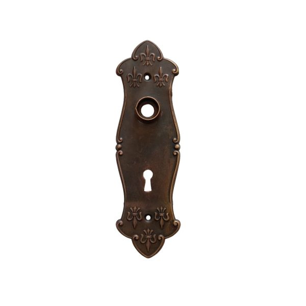 Lockwood Fleur De Lis Door Plate