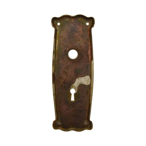 US Steel Lafeyette Door Plate Brass Finish - Image 2